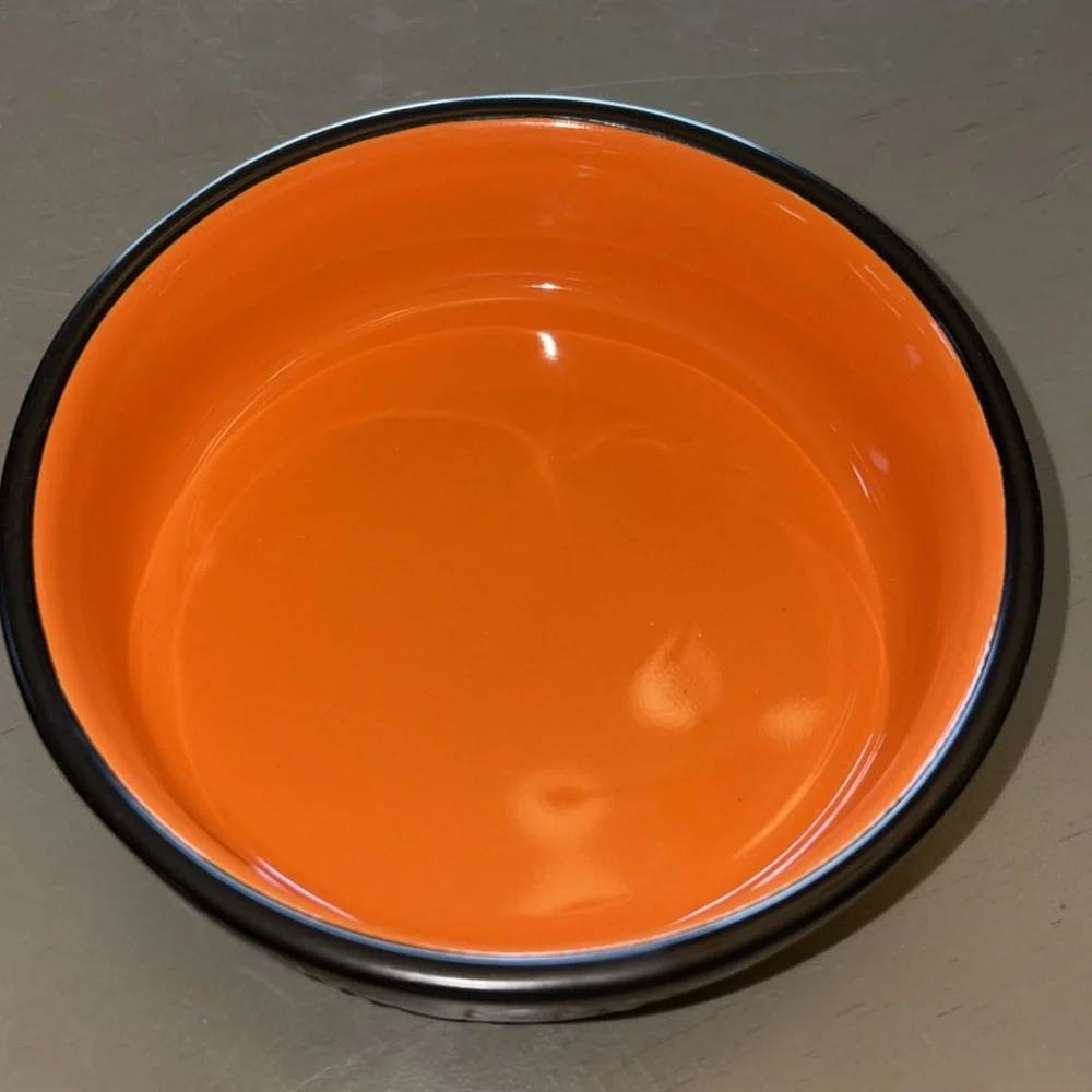 Rae Dunn Wicked Cute Black and Orange Small Pet Bowl